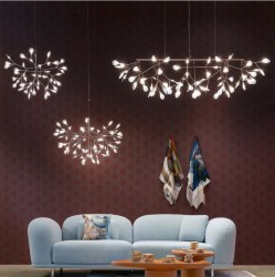 heracleum
