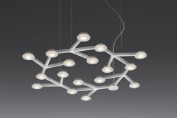 led-net-11