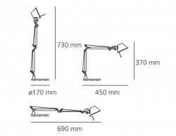 tolomeo-micro-gold-3