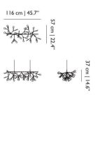 HERACLEUM III ENDLESS