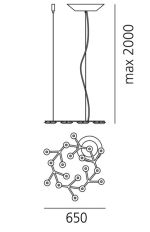 LED NET  /Circulaire