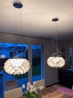 CABOCHE PLUS PICCOLA